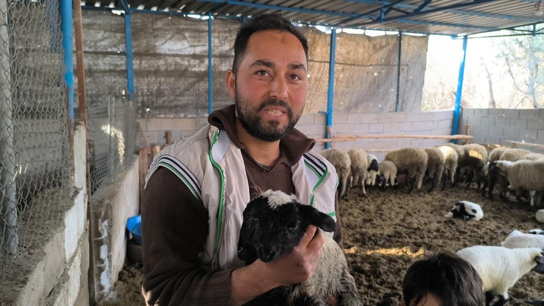 Bu kuzu &ccedil;ift kafalı doğdu: 2 ağzı, 4 g&ouml;z&uuml; var! Sosyal medyada g&uuml;ndem oldu 1