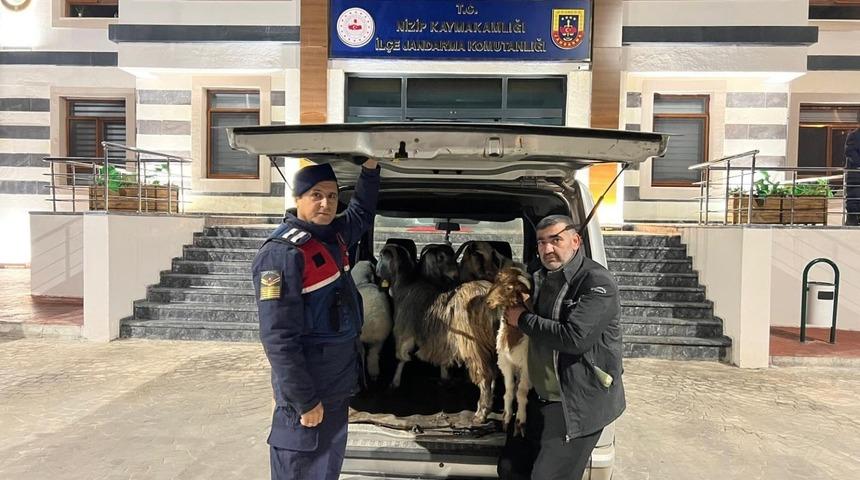 Sahte para ile hayvan alarak besiciyi dolandıran şahıslar yakalandı