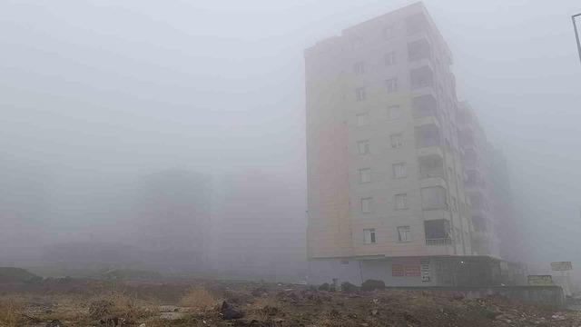 Şanlıurfa&rsquo;da yoğun sis ve yağmur etkili oluyor 3