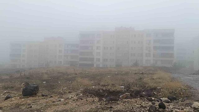 Şanlıurfa&rsquo;da yoğun sis ve yağmur etkili oluyor 2