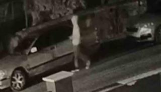 7 ara&ccedil; camını kırıp hırsızlık yapan şahıs tutuklandı