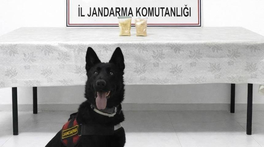 Van'da uyuşturucu operasyonu! 