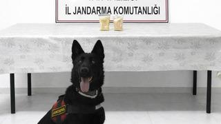 Van'da uyuşturucu operasyonu! 