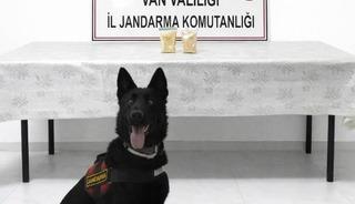 İranlı şahıs Van'da yakalandı! Denetimde &uuml;zerinden &ccedil;ıktı