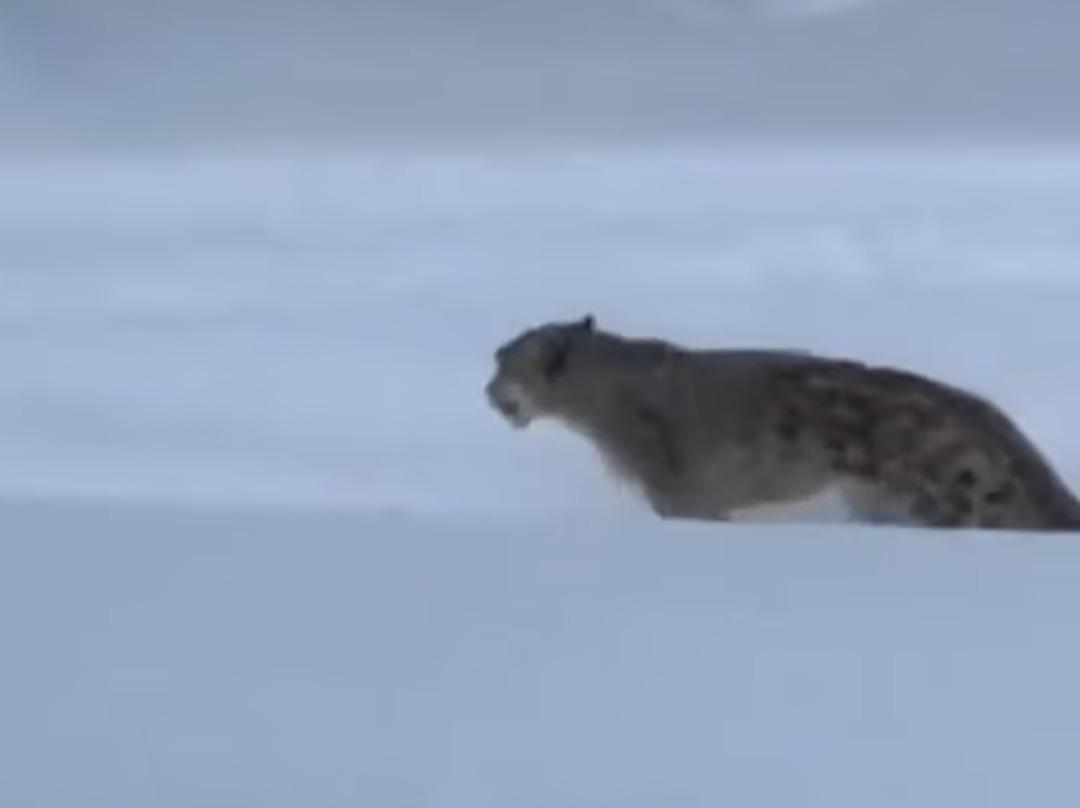 Az kalsın son sefiesi olacaktı: Kanlar içinde kaldı! Sosyal medyada gündem oldu 4