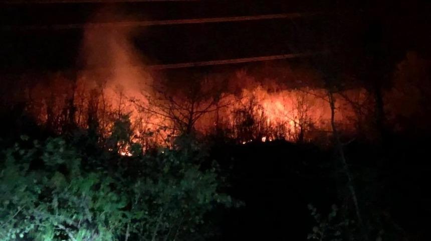 Giresun&rsquo;da 4 farklı yerde &ccedil;ıkan orman yangınları kontrol altına alındı