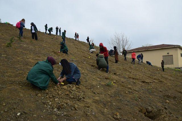 Düzce Üniversitesi öğrencilerinden anlamlı etkinlik