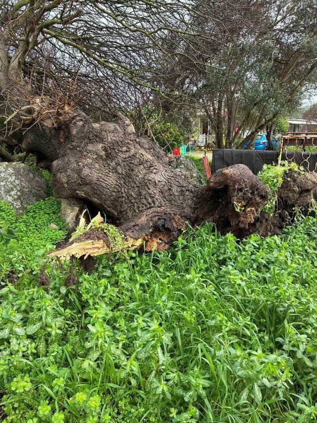 &Ccedil;eşme&rsquo;de sağanak yağış ve fırtına g&uuml;nl&uuml;k yaşamı zorlaştırdı 1