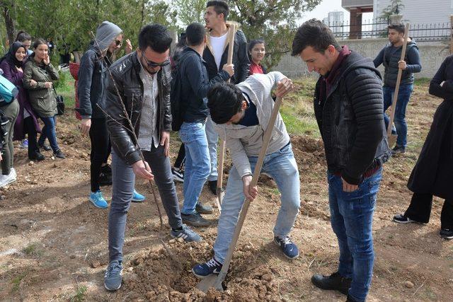 KMÜ’de 180 meyve fidanı toprakla buluşturuldu