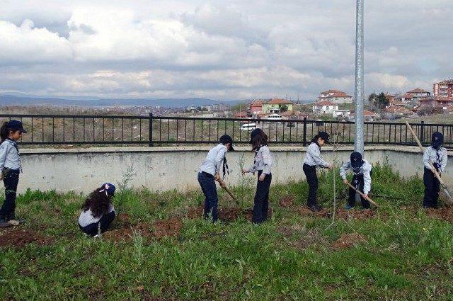 Minik izciler fidanı toprakla buluşturdu