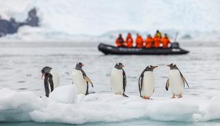 Antarktika'da iş ilanı g&uuml;ndem oldu: 41 bin dolar maaş! 