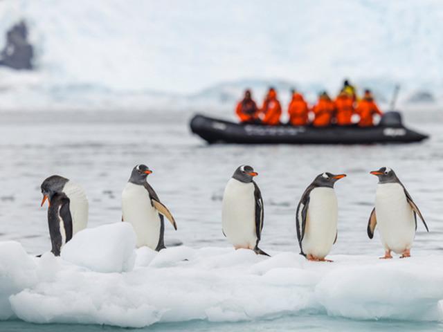 Antarktika'da iş ilanı g&uuml;ndem oldu: 41 bin dolar maaş! 