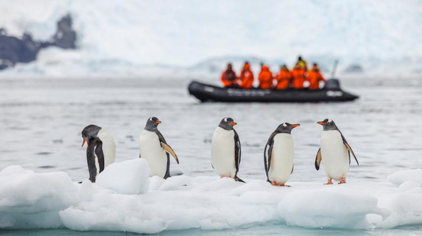 Antarktika'da iş ilanı g&uuml;ndem oldu: 41 bin dolar maaş! Antarktika'da yaşanır mı?