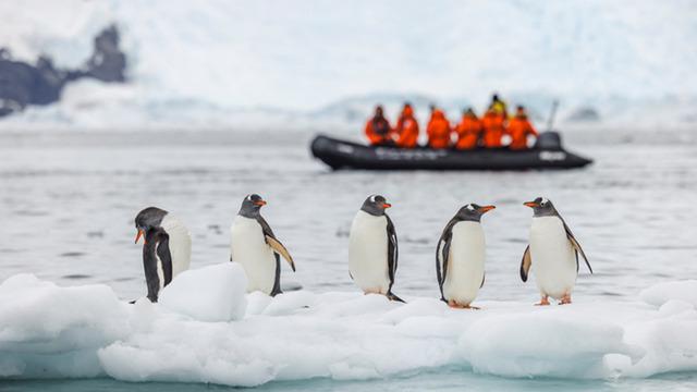 Antarktika'da iş ilanı gündem oldu: 41 bin dolar maaş! Antarktika'da yaşanır mı?