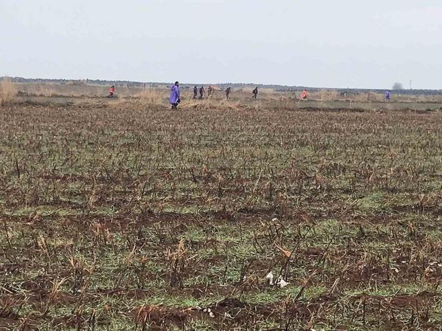 Kayıp şizofreni hastası kadın, her yerde aranıyor 3