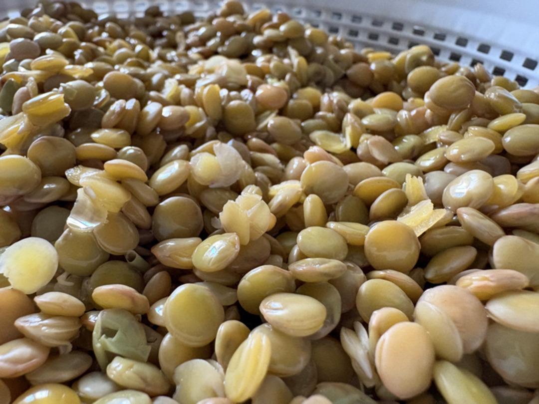 Tadı kıymayla yarışıyor faydası saymakla bitmiyor! Yeşil mercimeği olan mutlaka denesin 3