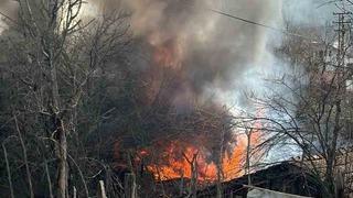 Karabük’te müştemilat yangını: 2 yavru köpek can verdi