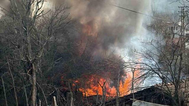 Karabük’te müştemilat yangını: 2 yavru köpek can verdi