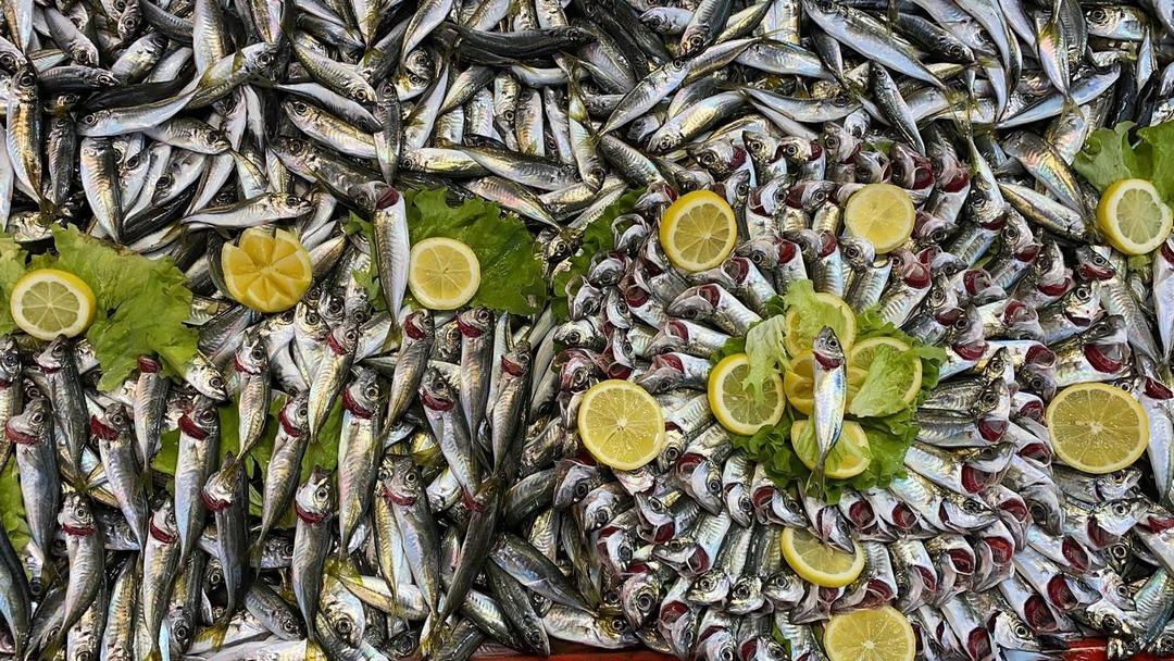 Balık tezgahlarında hamsi yok, vatandaş diğer balıklara y&ouml;neldi! 1