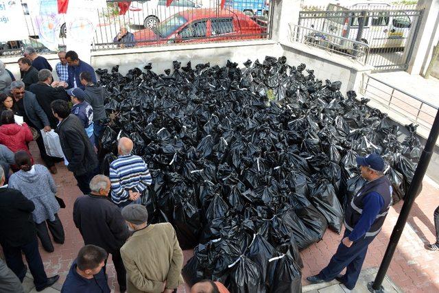 Kişniş fideleri üreticinin yüzünü güldürdü