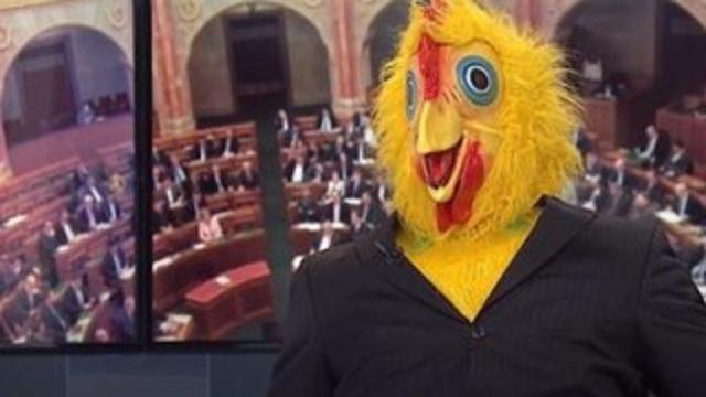 Herkese 'bedava bira vadeden' parti sözcüsü devlet televizyonuna tavuk kostümüyle çıktı