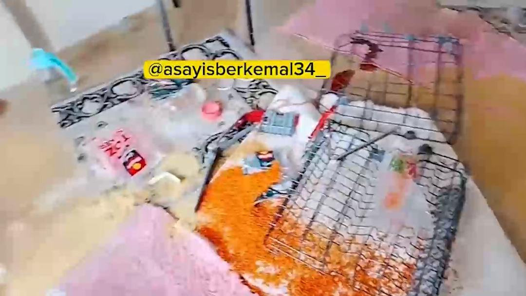 Evine giden kadın hayatının şokunu yaşadı! Tek bir sağlam eşya kalmamış 1