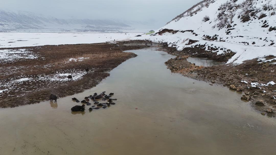 T&uuml;rkiye&rsquo;nin en ilgin&ccedil; kaplıca keyfi: Eksi 25 derecede mandalarla birlikte y&uuml;zd&uuml;ler 2