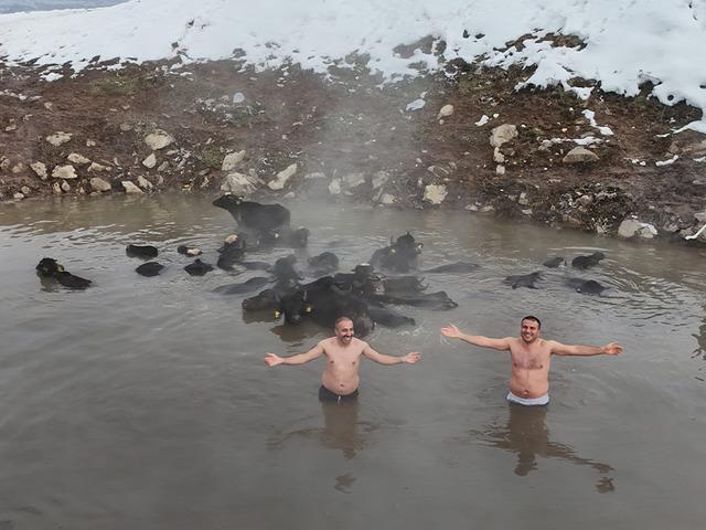 Kaplıca keyfi: Eksi 25 derecede mandalarla birlikte y&uuml;zd&uuml;ler