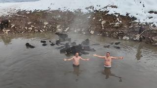 Türkiye’nin en ilginç kaplıca keyfi: Eksi 25 derecede mandalarla birlikte yüzdüler