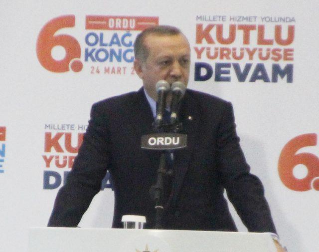 Cumhurbaşkanı Erdoğan: Artık metal yorgunluğu yok (5) 