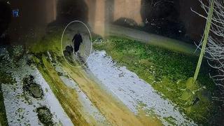 Diyarbakır'da 13 gündür kayıptı! Nimet Kılıç’ın cansız bedeni bulundu