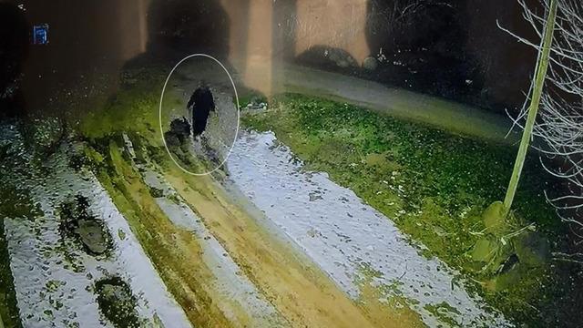 Diyarbakır'da 13 gündür kayıptı! Nimet Kılıç’ın cansız bedeni bulundu