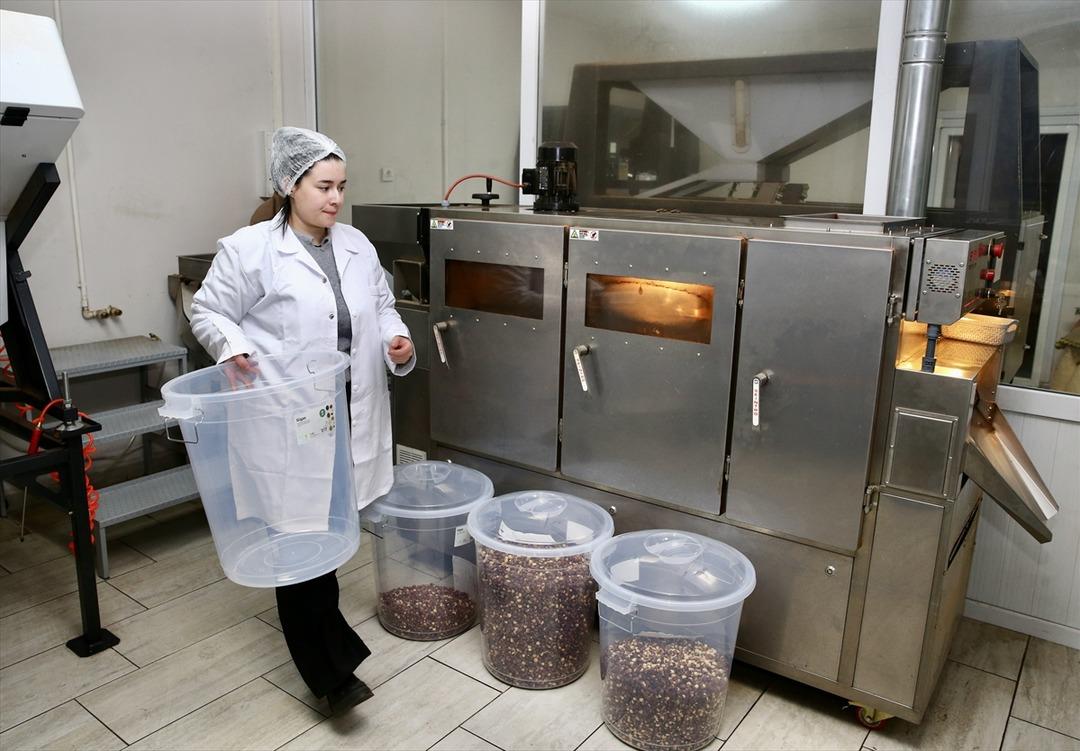 Gen&ccedil; yaşta iş yeri kurup patron oldu  Bu işi daha &ouml;nce bilmiyordum  1