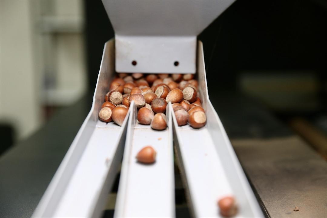 Gen&ccedil; yaşta iş yeri kurup patron oldu  Bu işi daha &ouml;nce bilmiyordum  4