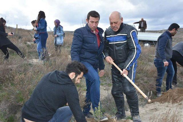 Isparta’daki KYK’lılar 500 fidanı toprakla buluşturdu