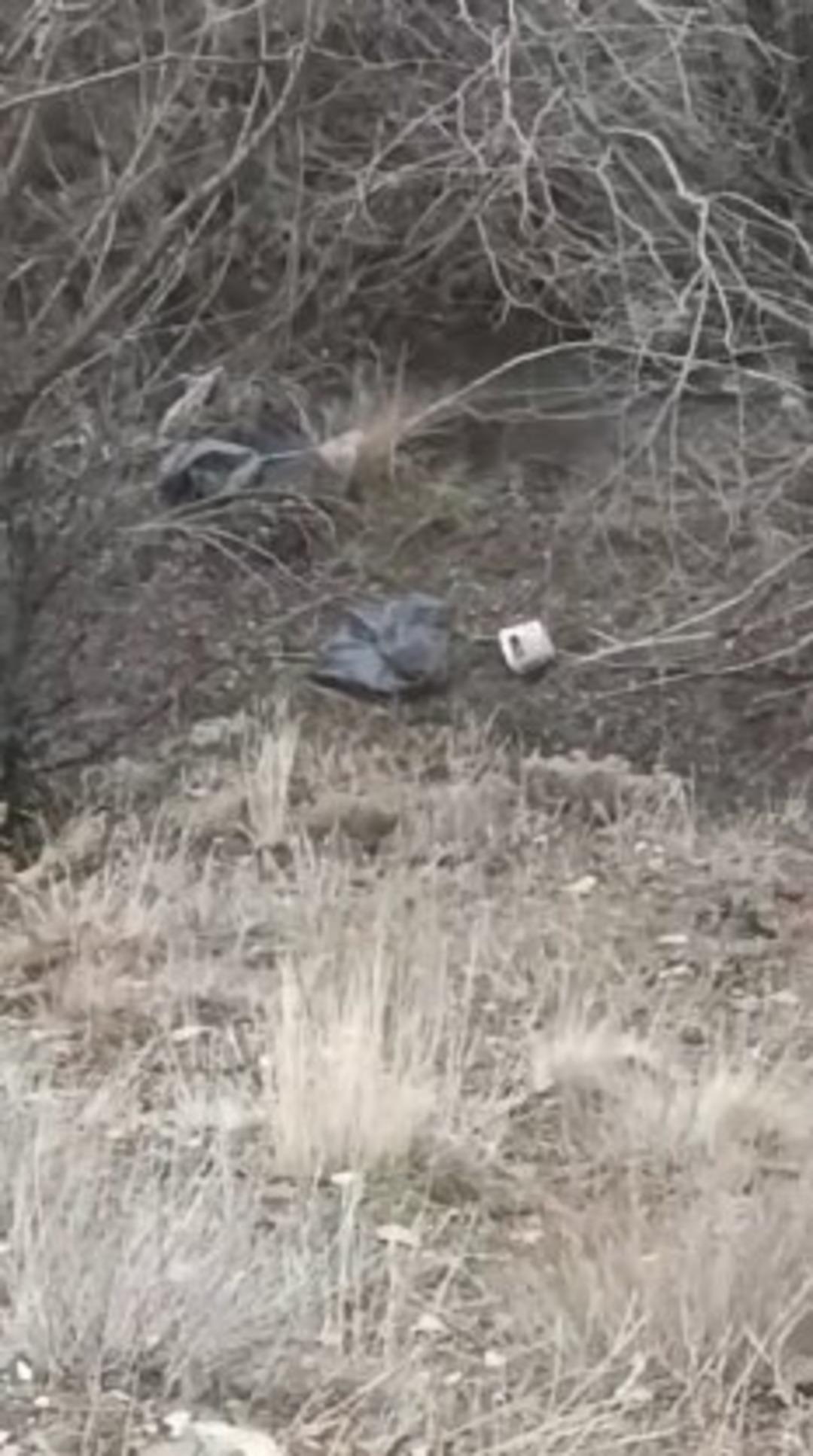 Komşusunun başını kesip 2 km taşıdı! Cansız bedeni 6 par&ccedil;aya ayırıp poşetlere koydu 2