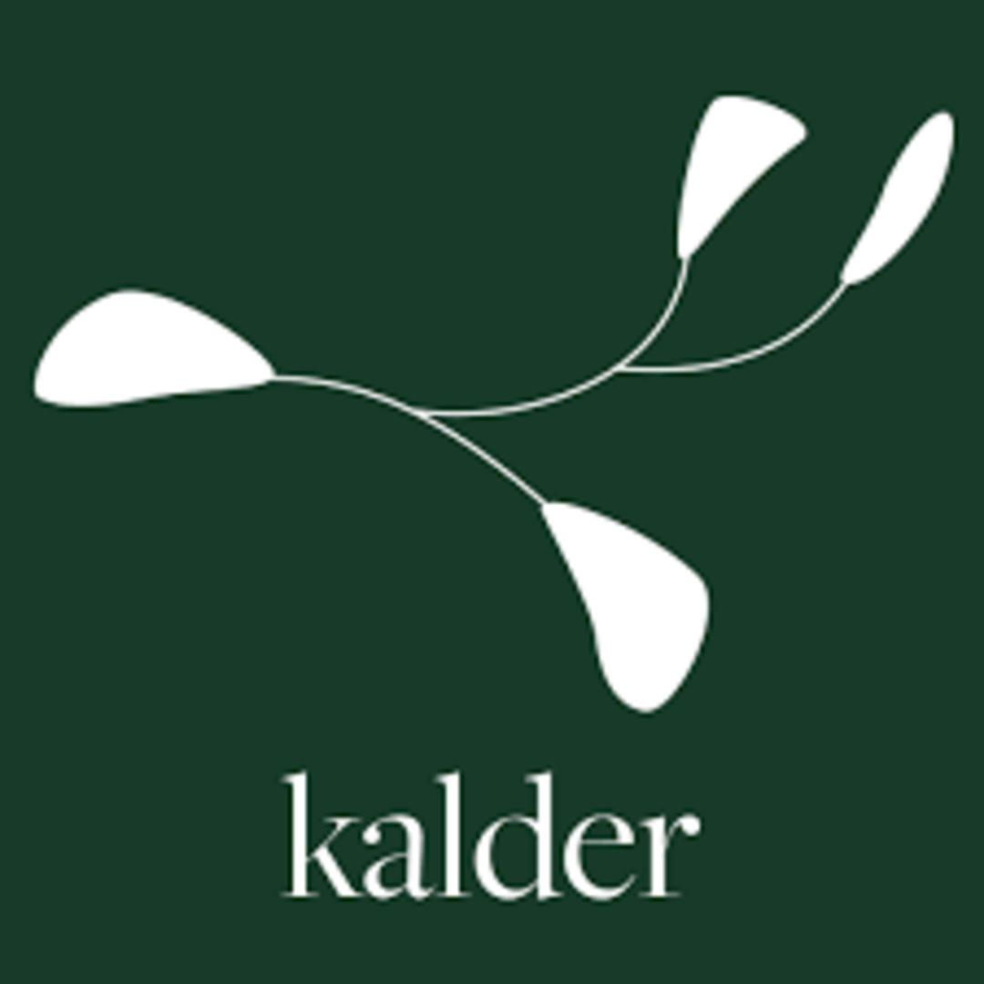 T&uuml;rk girişimciden 7 milyon dolarlık vurgun! G&ouml;k&ccedil;e G&uuml;ven ABD&rsquo;de tutuklandı 3