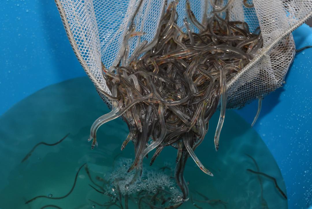 Kıyısı olmayan deniz: D&uuml;nya da ilk ve tek! 2