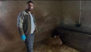 Yozgat'ta ahırlara yıldırım d&uuml;şt&uuml;, hayvanlar telef oldu