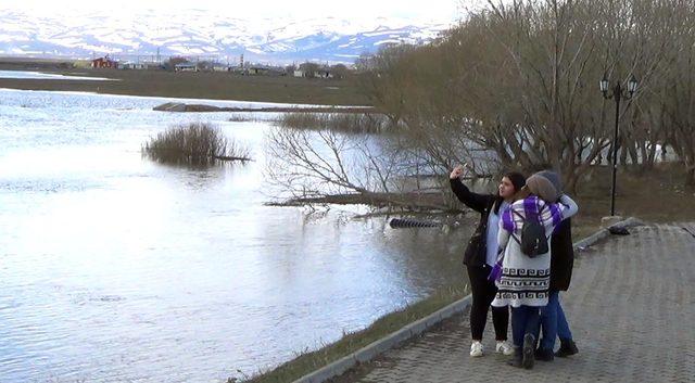 Kura Nehri taştı, ova sular altında kaldı