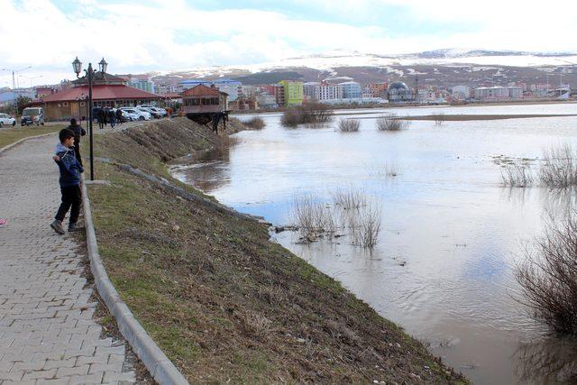 Kura Nehri taştı, ova sular altında kaldı