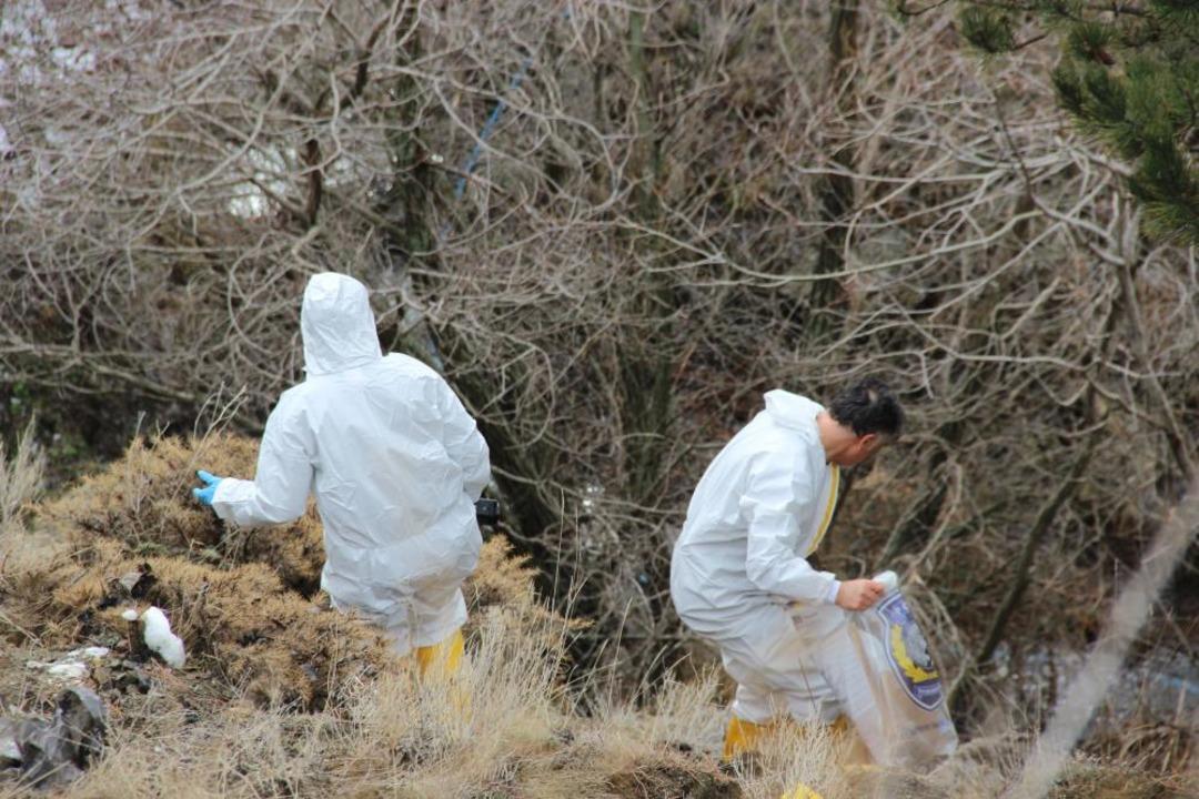 &Ccedil;orum da yaşlı adamın canice &ouml;ld&uuml;r&uuml;lmesiyle ilgili g&ouml;zaltı sayısı 4 e y&uuml;kseldi 1
