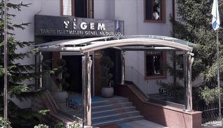 TİGEM 24 bin kilogram koyun s&uuml;t&uuml; satacak