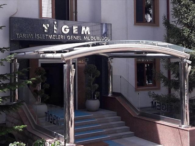 TİGEM 24 bin kilogram koyun s&uuml;t&uuml; satacak