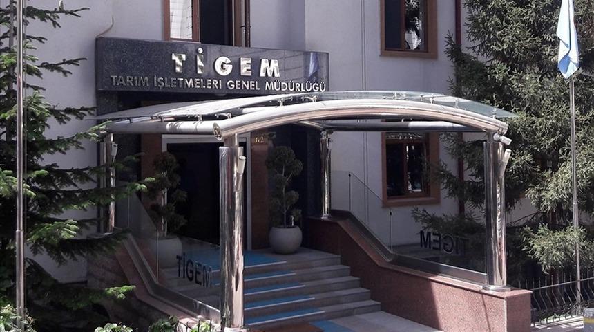 TİGEM 24 bin kilogram koyun s&uuml;t&uuml; satacak