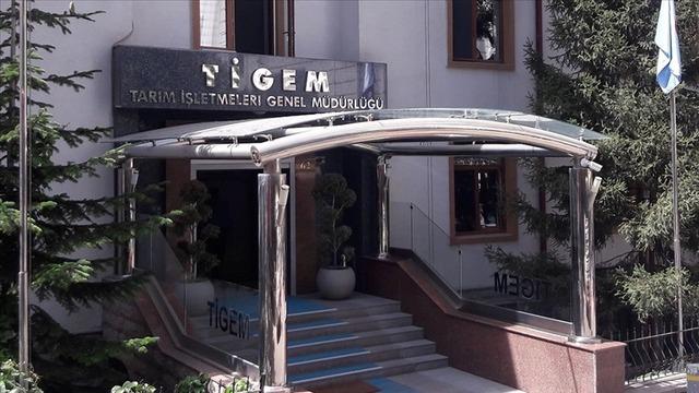 TİGEM 24 bin kilogram koyun sütü satacak
