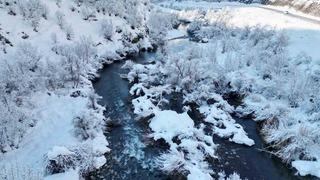 Şırnak’ta beyaza bürünen dağ ve ağaçlar göz kamaştırdı