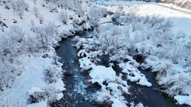 Şırnak’ta beyaza bürünen dağ ve ağaçlar göz kamaştırdı