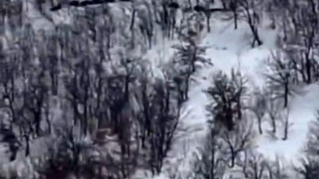 Elazığ’da domuz sürüsünü ’ordu geliyor’ diye kayda aldı