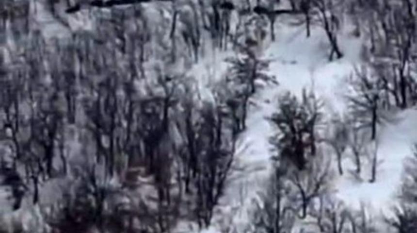 Elazığ&rsquo;da domuz s&uuml;r&uuml;s&uuml;n&uuml; &rsquo;ordu geliyor&rsquo; diye kayda aldı